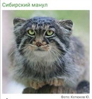  В зоопарк – с электронным путеводителем!